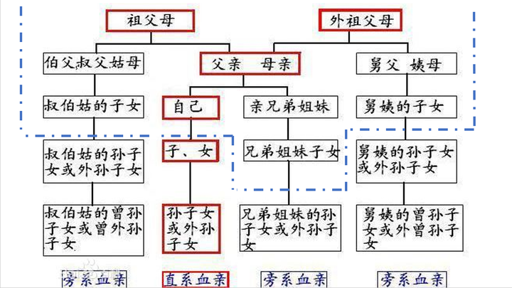 三代旁系图片