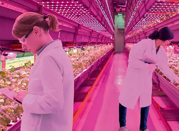 活动预告 植物照明技术及全球成功案例分享 知乎