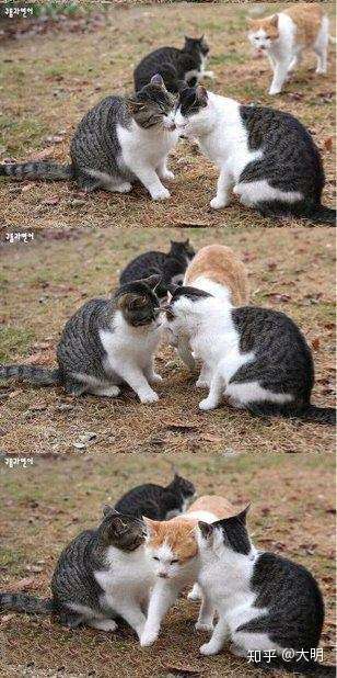 720_1445竖版 竖屏