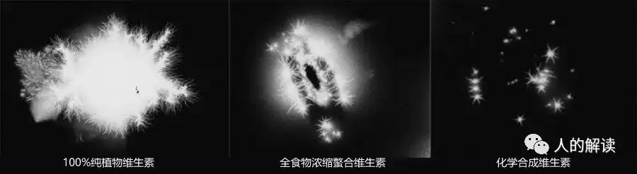 生机饮食的奥秘,吃的不仅是营养还有光-人的解读