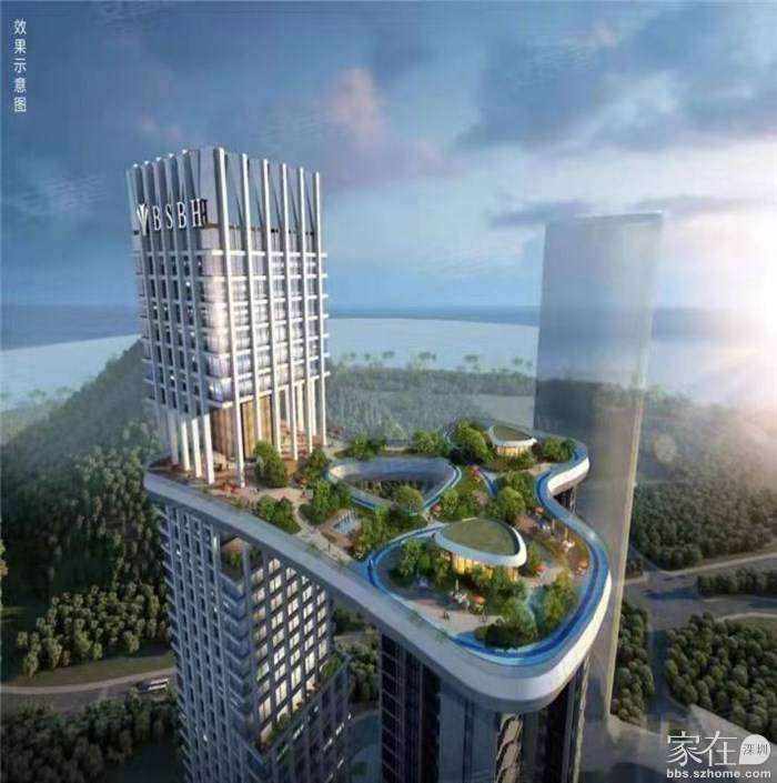 龙少教你买深房 的想法: 蛇口赤湾#伴山伴海# #前海宸湾# 户型图出