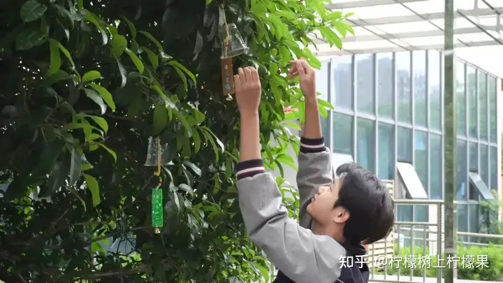 【活力校园】手绘风铃添彩 心融美育校园 | 塘栖校区组织开展手绘风铃活动(图7)