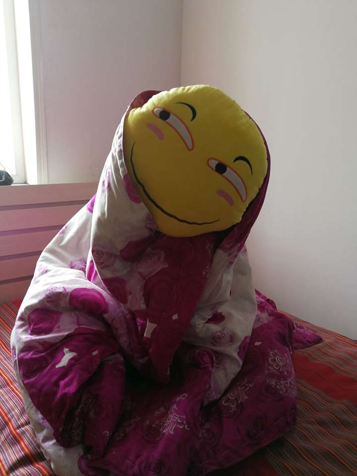 滑稽抱枕加棉被_(:3」∠)_ 诶嘿嘿,没拍好orz