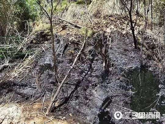 网友反映长庆采油八厂一井场多处污油泥未清理 沿途路上还漏不少油 知乎