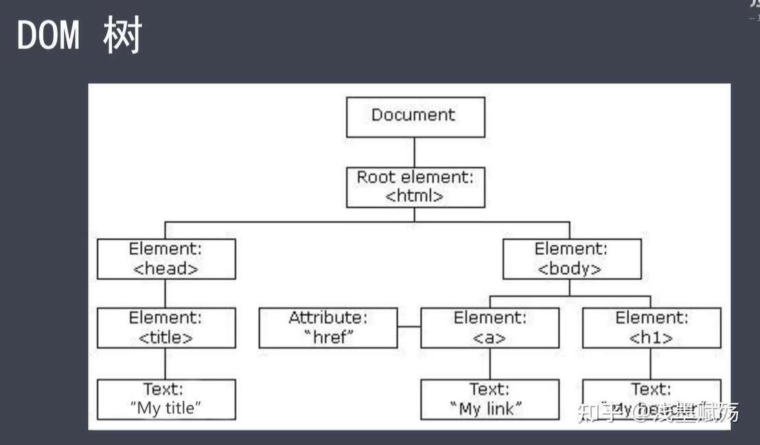 Javascript Dom 节点 知乎