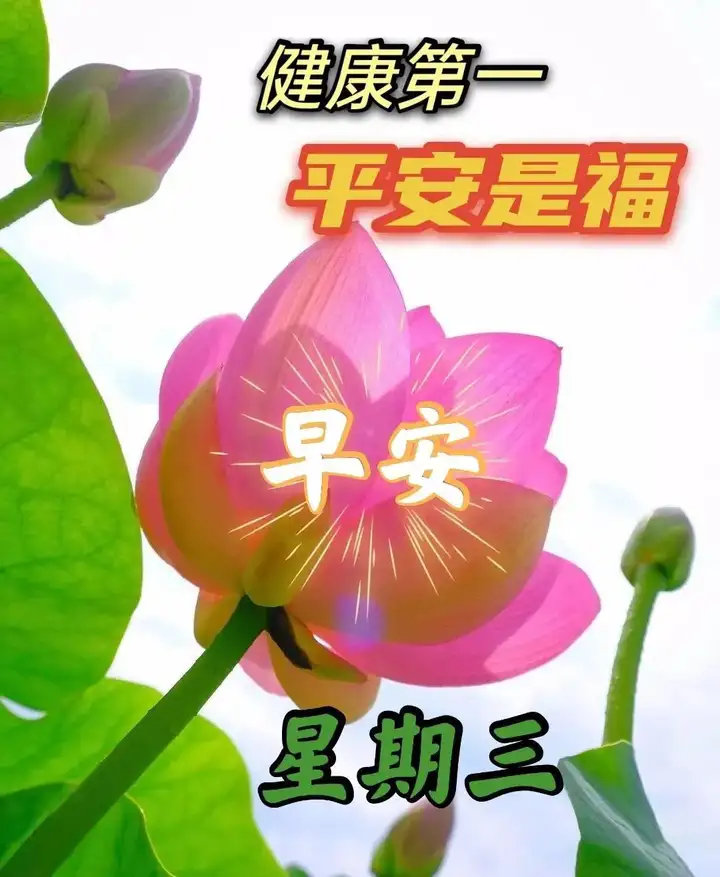 微信群发早晨好表情包图片大全 早上好问候语表情动态图片