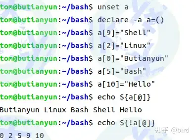 Linux Bash Shell索引数组和关联数组及稀疏数组 知乎