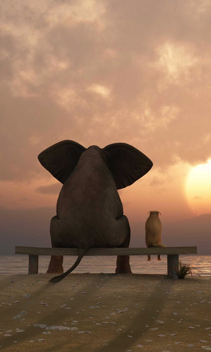 你看过哪张照片使你感觉到深深的孤独感