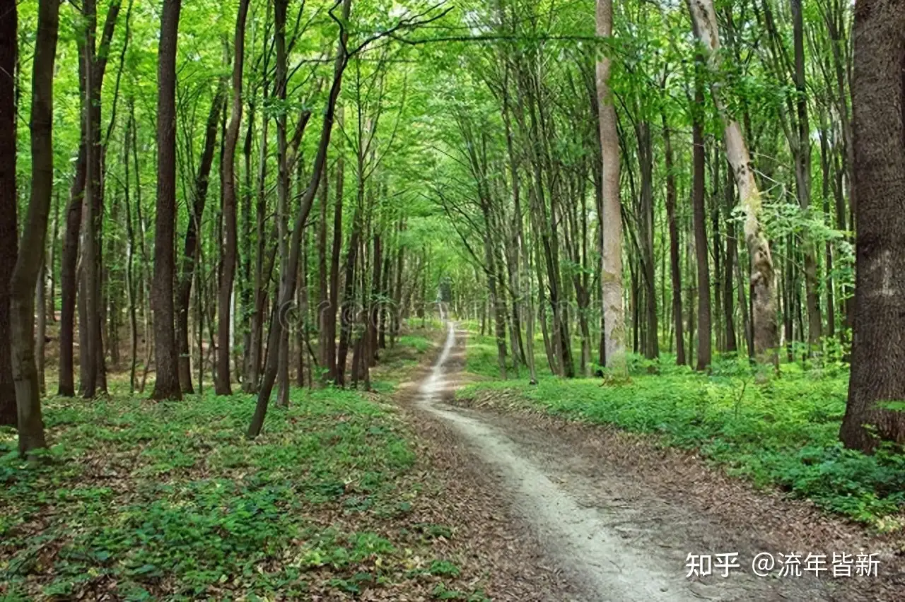 走完大路，走小路- 知乎