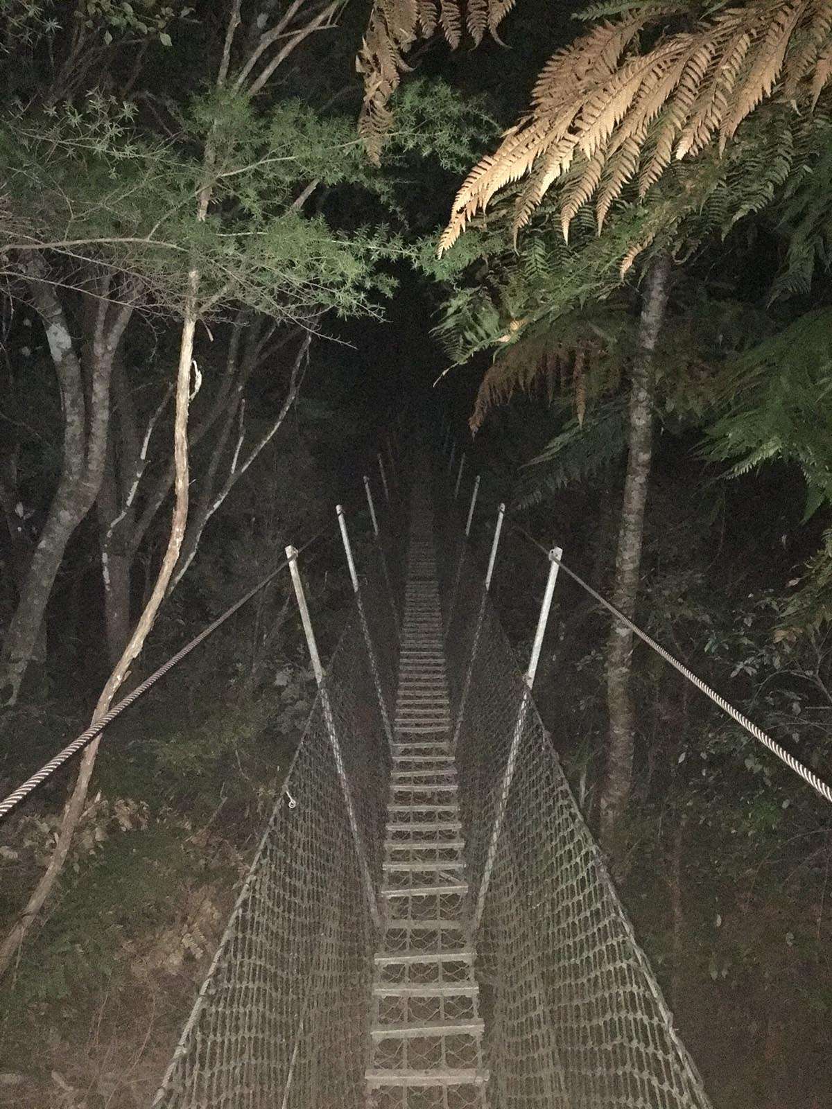 新西兰 仙境的the Pinnacles 知乎