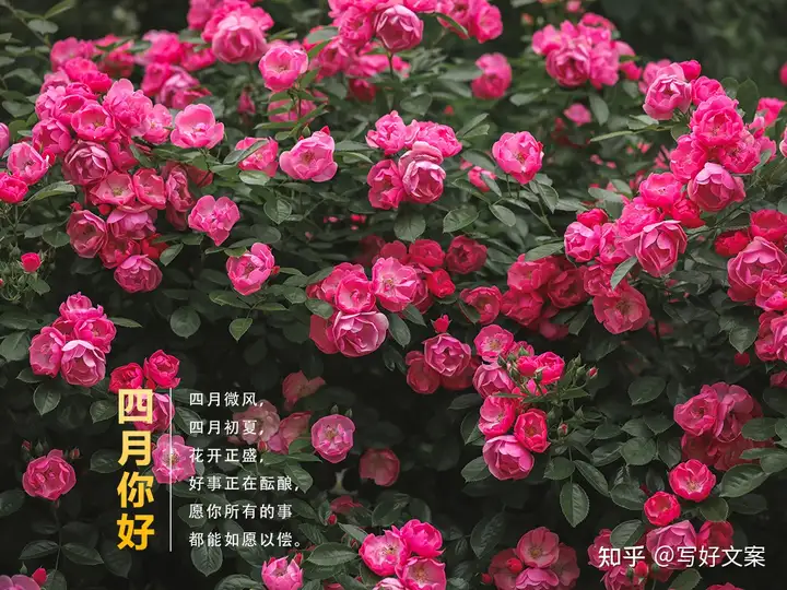 3月再见，4月你好！四月发朋友圈的唯美文案15句