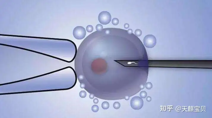 上海最大的助孕公司（学会了吗）