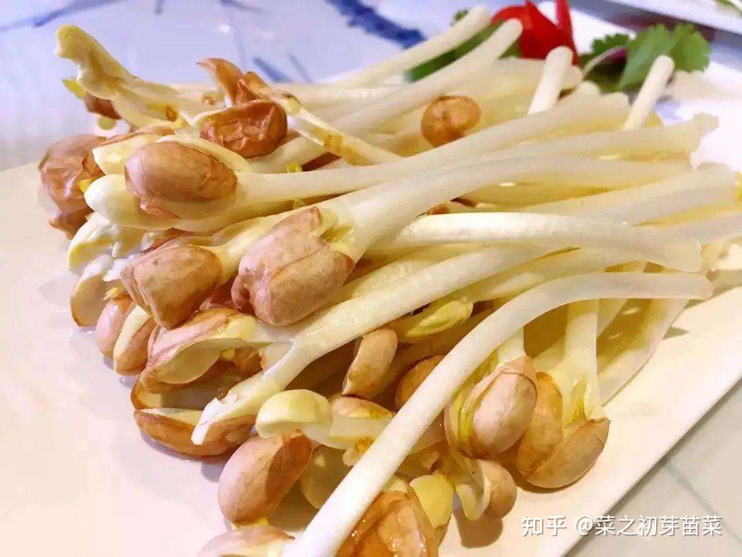 花生苗的种植期间的管理方法 知乎 花生苗的种植期间的管理方法 知乎