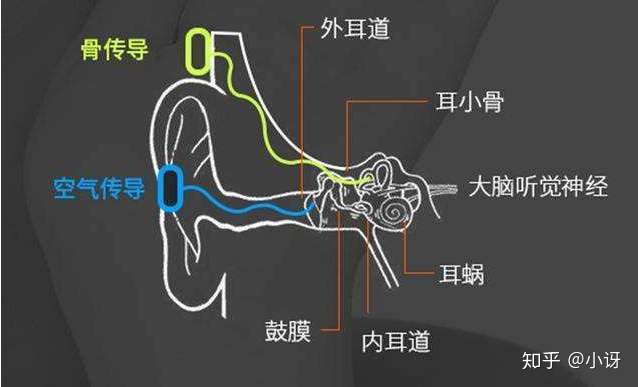 用骨传导耳机为什么会恶心