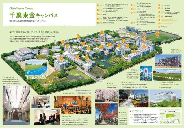 日本大学介绍 日本皇室公主就读的大学 城西国际大学 知乎