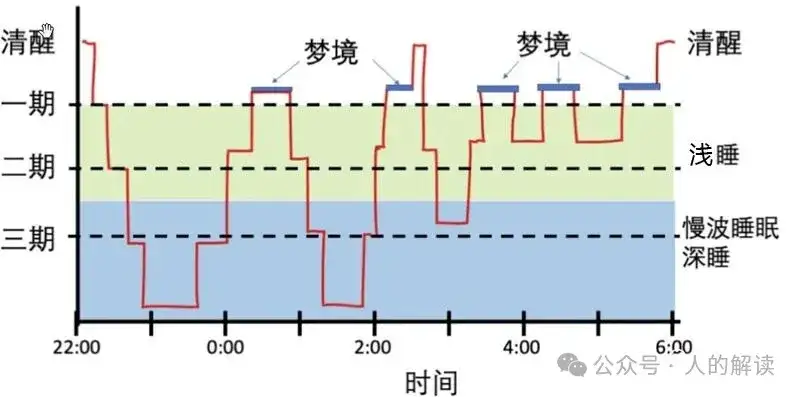 睡眠的奥秘,真相远超想象-人的解读