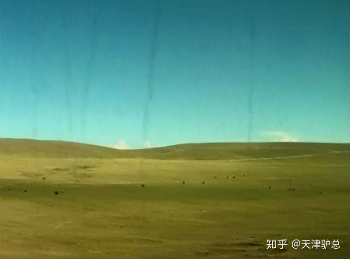 拉萨第一夜吸氧。西藏1