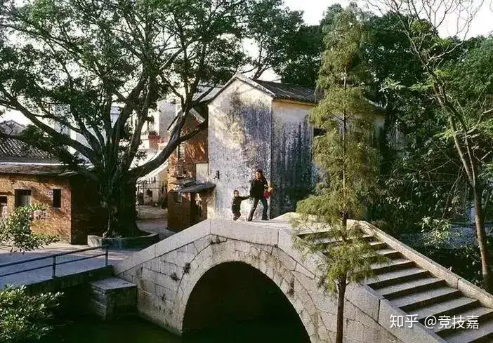 「鹤山古劳水乡&顺德逢简水乡」岭南水乡风情，千亩婀娜荷花