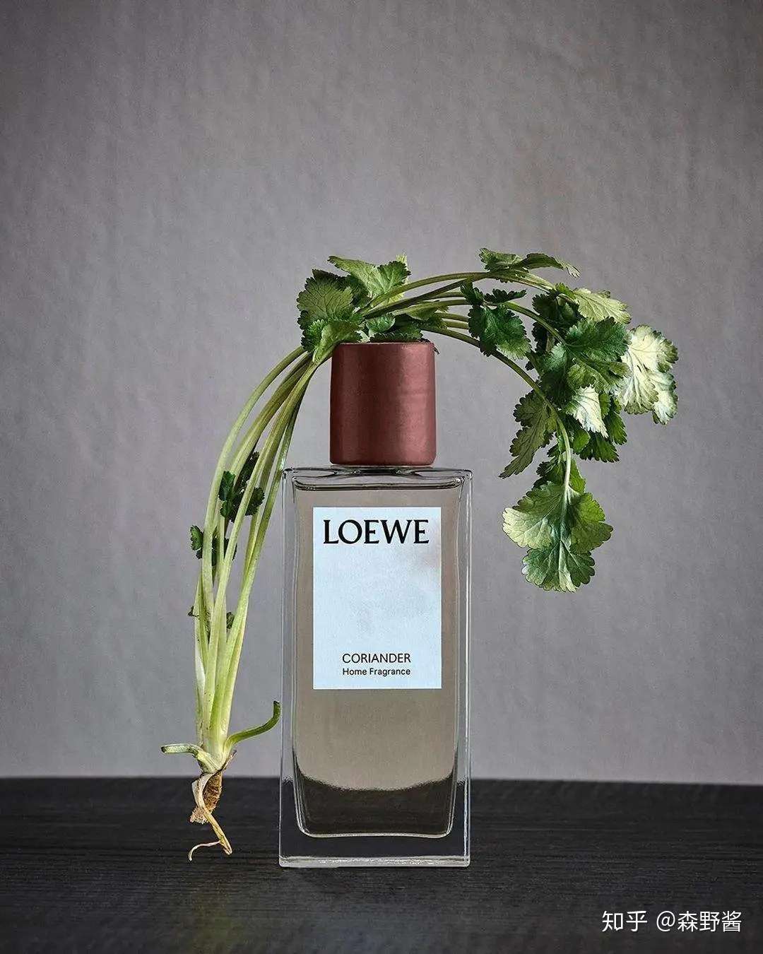 一上架就秒空 Loewe的香菜味香水究竟有什么魔力 知乎