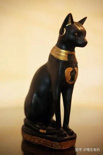 买猫不求人猫咪鉴别大全之埃及猫