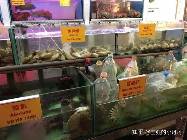 Malaysia Traviling 马来西亚沙巴自助游攻略