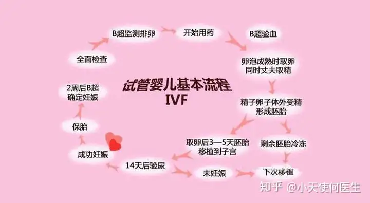 广州供卵费用（广州供卵试管婴儿费用流程详细解读）
