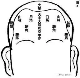 秒懂骨相从九贵骨看富贵品级