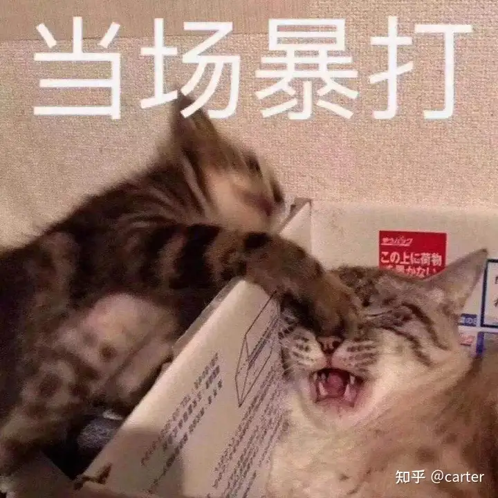 9元飞机杯能用吗九块九的飞机杯你靠谱吗?你敢买?