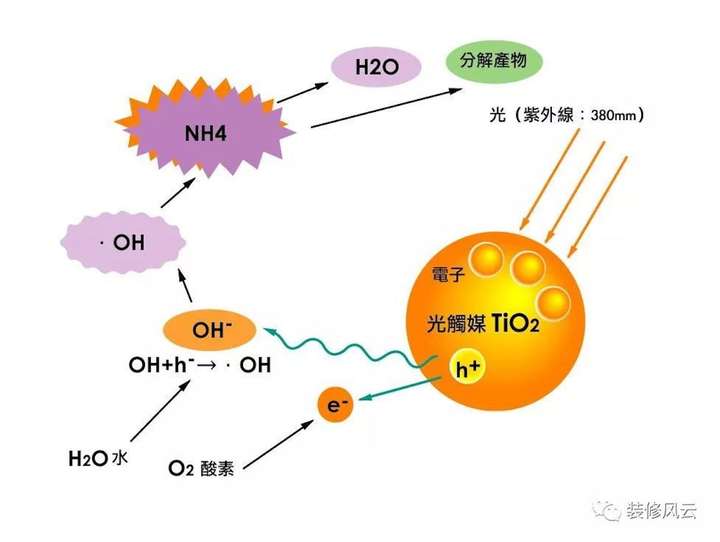 装修房子乳胶漆还是硅藻泥好啊？-灌木丛设计