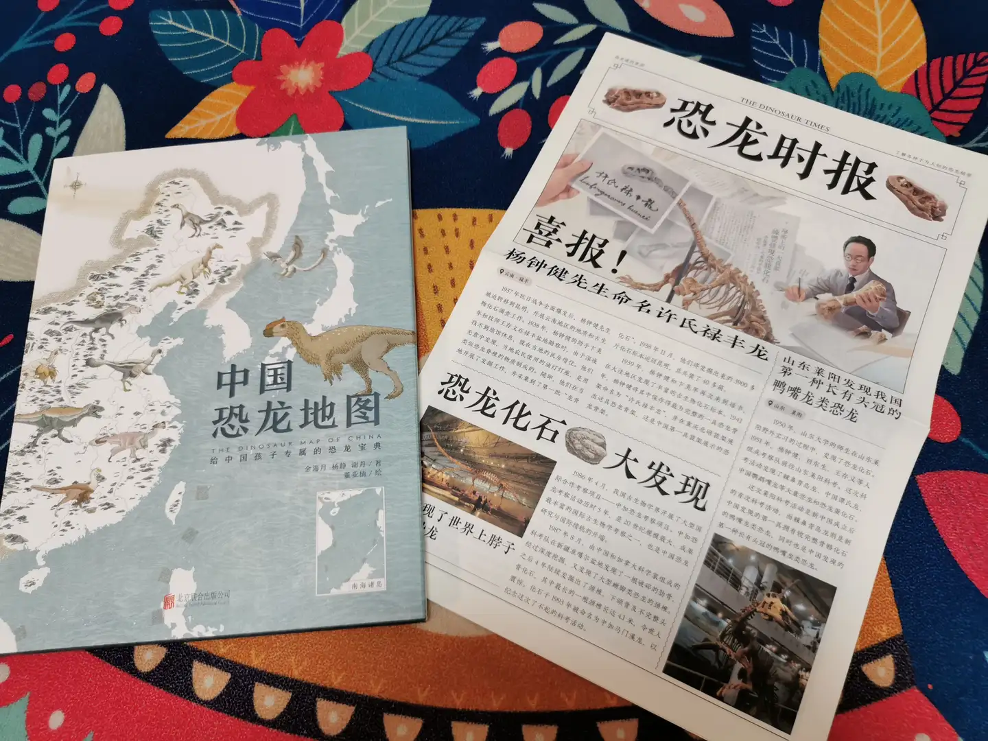 第一次发现，恐龙科普书竟然还可以这样写——《中国恐龙地图》 - 知乎