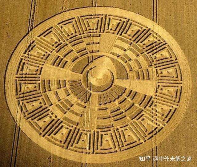 揭秘麦田怪圈究竟是人为制造 还是外星人在地球上留下的记号 知乎