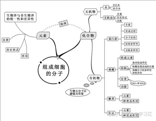 高中生物三年所有知識點20頁思維導圖輕鬆搞定建議打印