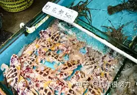 疫情间回味和计划放肆的吃喝玩乐厦门海岛旅游