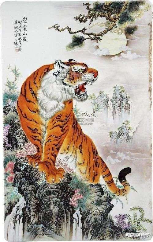 野生华南虎已经灭绝了