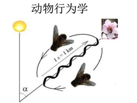 动物行为学 - 知乎