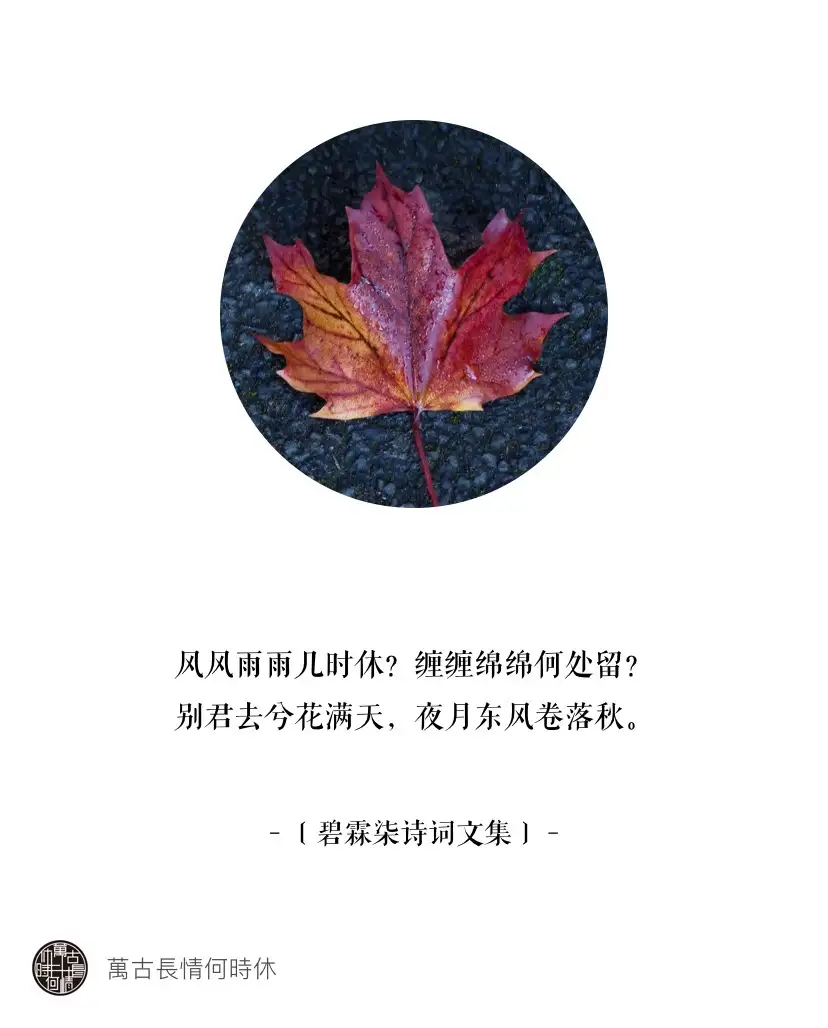 风风雨雨几时休 万古长情何时休 知乎