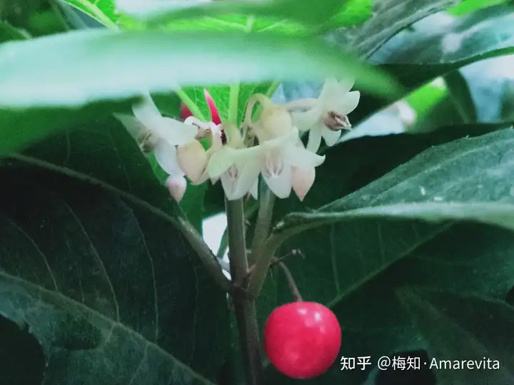 端午节：六月十四日，2021年，365日，一日七话题（6月14号端午节放假）