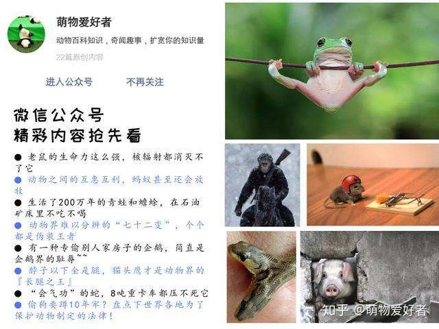 这些动物能自己治病 都不需要兽医出马 甚至吃药改后代性别 知乎