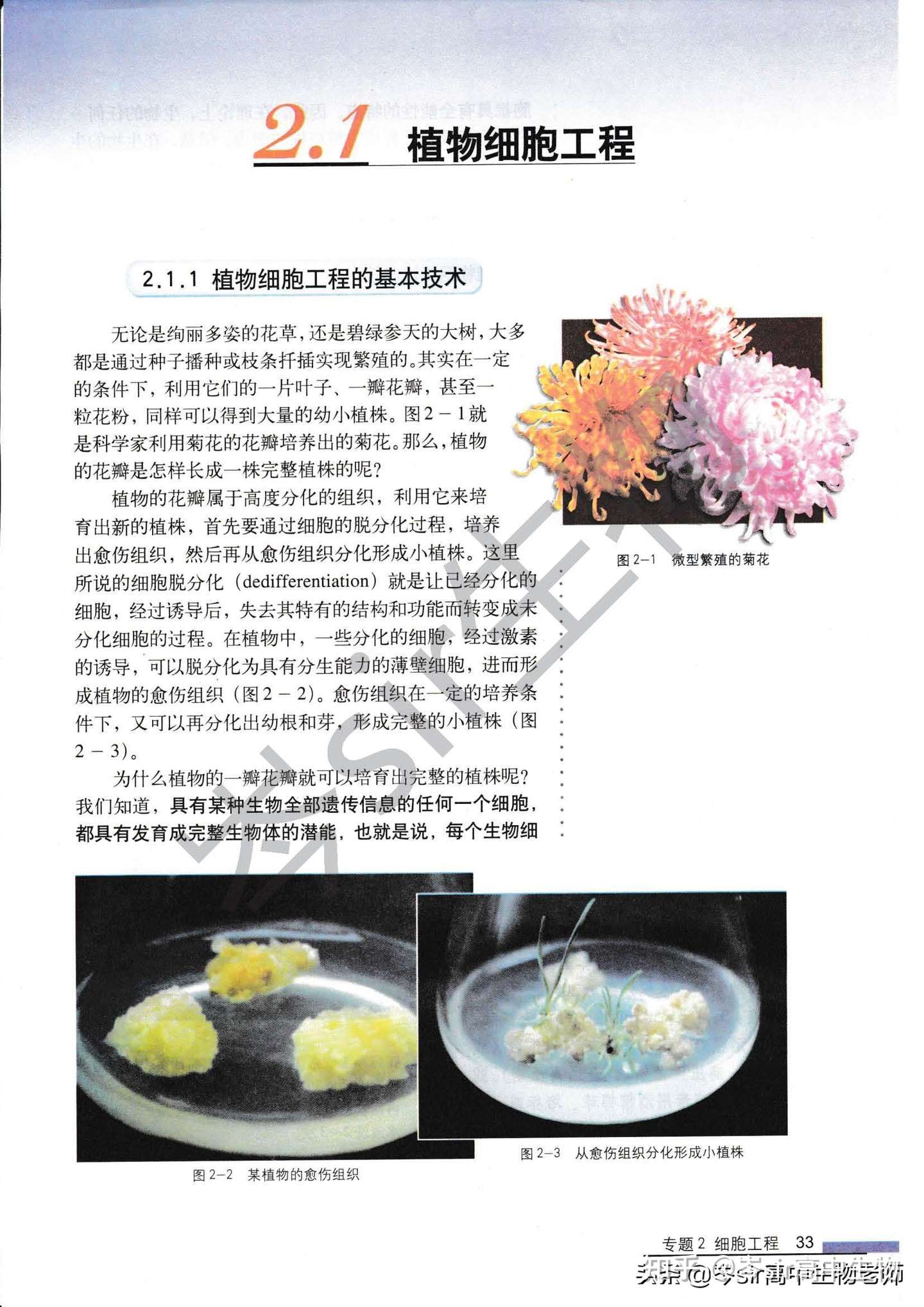 高中生物教材速读选修3 2 1 植物细胞工程 知乎