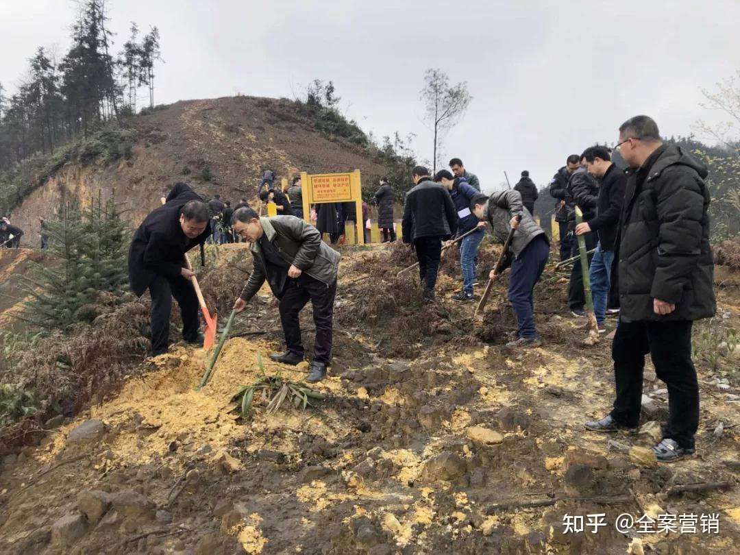 创建天府旅游名县 四川兴文19年新造竹位居全省第一 知乎
