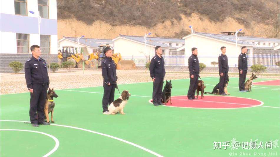 公安战线的特殊 警队 天水市公安局警犬大队见闻 知乎