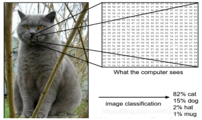 跟我学Python图像处理丨图像分类原理与案例