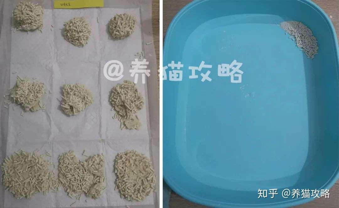 猫砂测评 哪款豆腐砂最好用 看完不再花冤枉钱 知乎