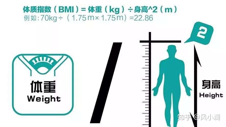 脂肪也有颜色区分 知乎