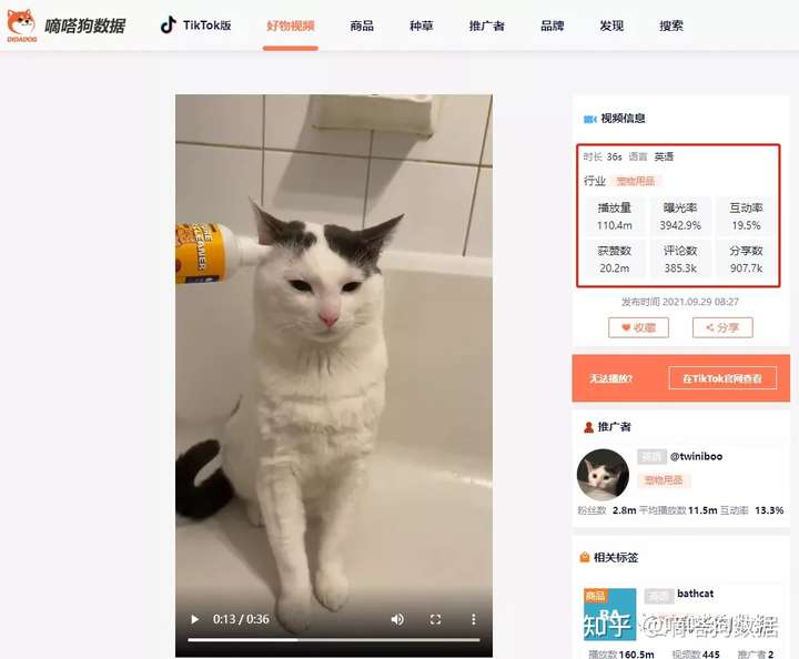 给猫洗个澡也能带货！TikTok沉浸式带货还能这么玩儿？