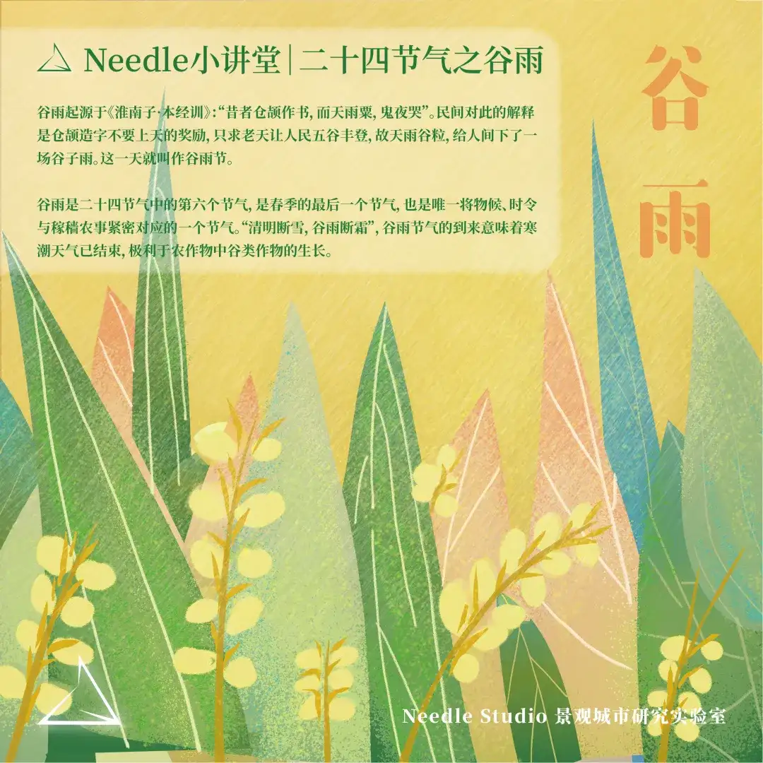 谷雨到 Needle二十四节气小课堂开课啦 知乎