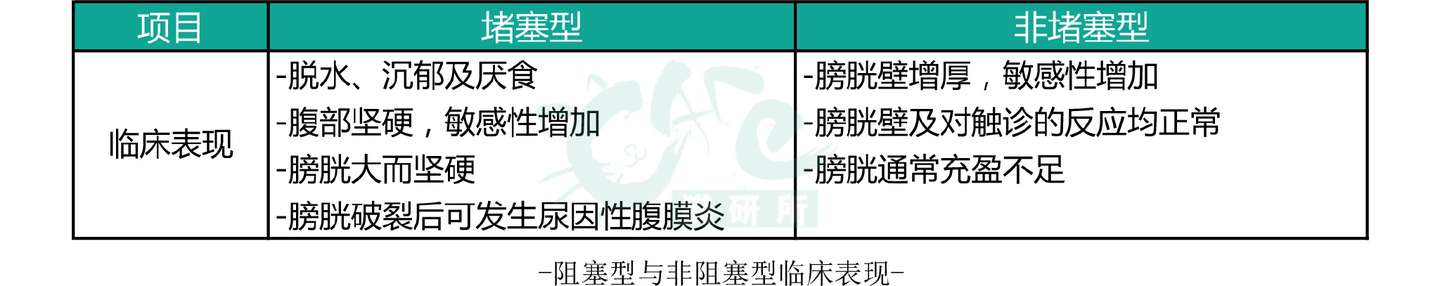 猫咪常见病系列之u2014u2014猫自发性膀胱炎（诊断治疗篇） - 知乎