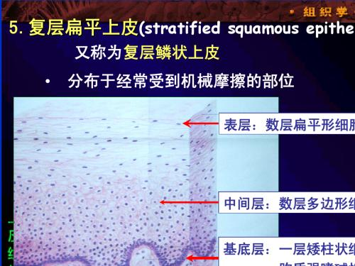 有哪些注意事项?