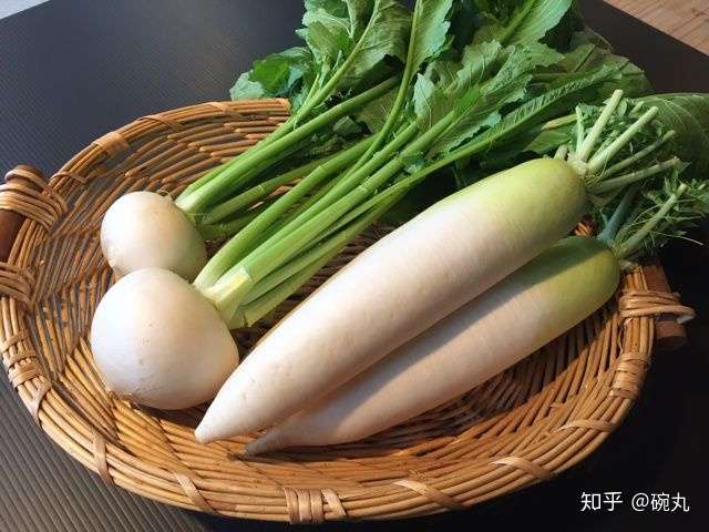 芜菁 圣护院大根和圣护院芜菁到底有啥区别呢 知乎