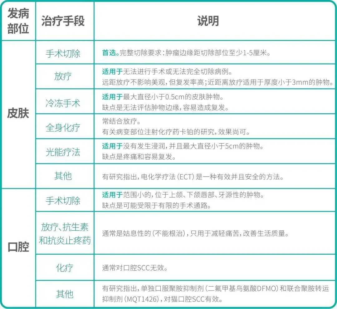 猫咪的癌症常见吗？6个癌症的基础知识分享- 知乎